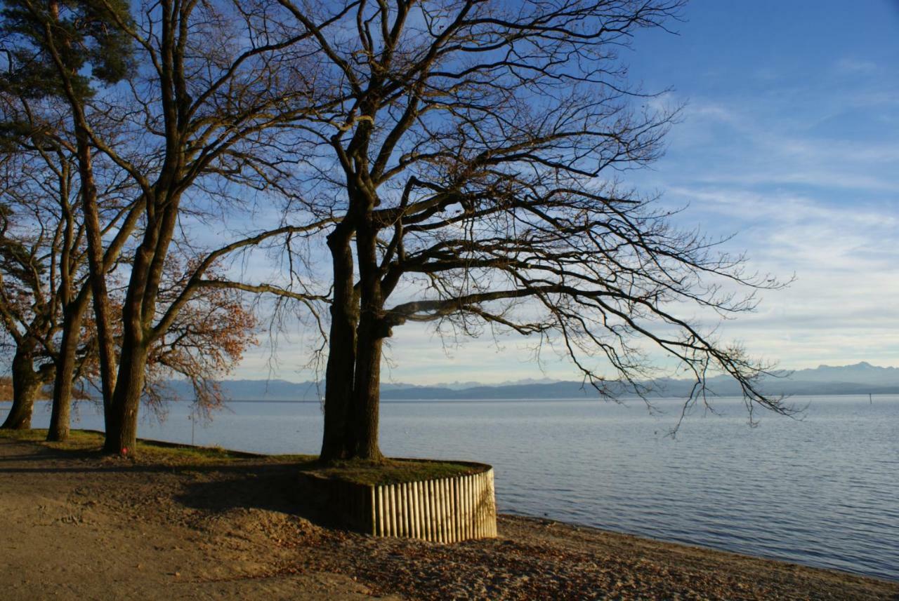 Saentis Friedrichshafen